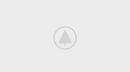 wood-gallery-placeholder-5