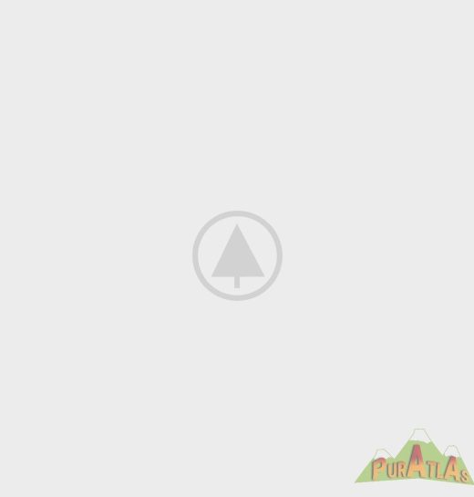 wood-gallery-placeholder-5