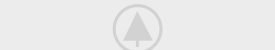 wood-portfolio-placeholder